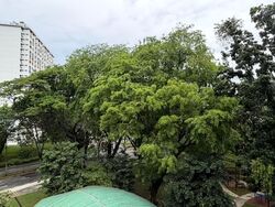Blk 176 Boon Lay Green (Jurong West), HDB 3 Rooms #589804351
